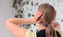 Как избавиться от грибка в погребе?