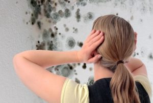 Как избавиться от грибка в погребе?