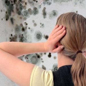 Как избавиться от грибка в погребе?