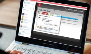 Как установить Flash Player на компьютер?