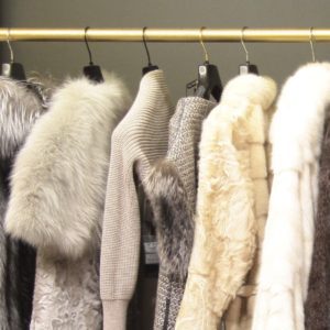 Как избавиться от моли в квартире?