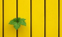 20 фотографий для тех, кто понимает минимализм