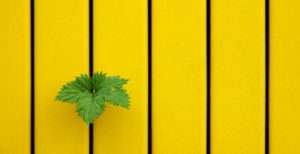 20 фотографий для тех, кто понимает минимализм