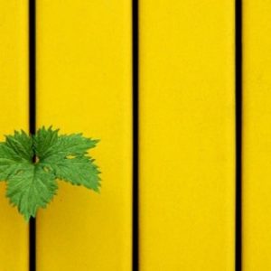 20 фотографий для тех, кто понимает минимализм