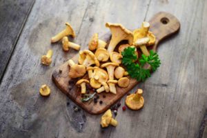 Как варить грибы лисички для заморозки?