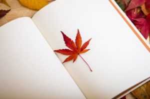 Как нарисовать кленовый лист?