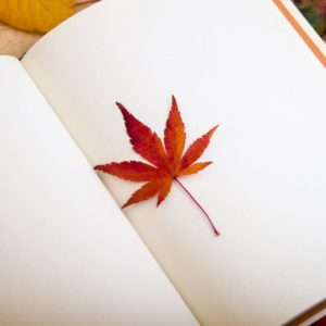 Как нарисовать кленовый лист?