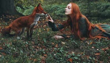 Удивительное сочетание: фотограф делает снимки рыжих людей с лисами