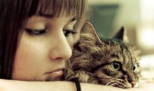 Солдат Афганистана нашла кошку, которая помогла ей пережить войну