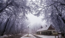 Фотограф провёл в замороженном лесу весь день