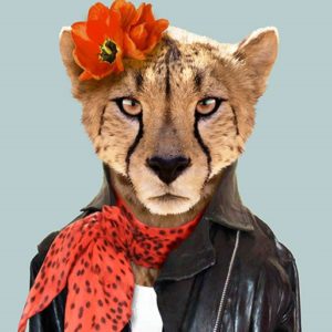 Модные животные в одежде, которая подчёркивает их индивидуальность