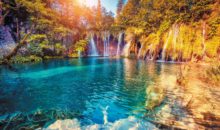 National Geographic дал приз за лучшее фото