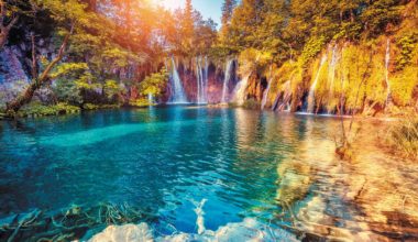 National Geographic дал приз за лучшее фото