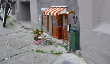 В Швеции открылось несколько магазинов для грызунов