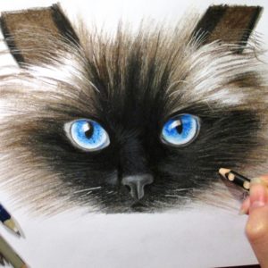 Как нарисовать кота?