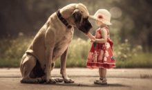 Большие собаки и дети: интересные фото