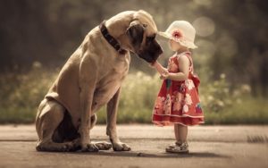 Большие собаки и дети: интересные фото