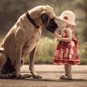 Большие собаки и дети: интересные фото
