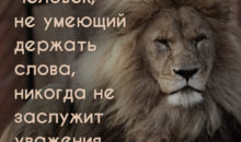 11 вдохновляющих цитат о главном