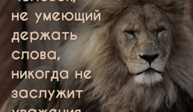 11 вдохновляющих цитат о главном