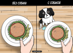Этот комикс поймет тот, у кого есть собака