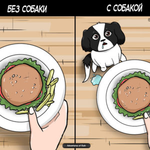 Этот комикс поймет тот, у кого есть собака
