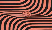 Тест на интеллект: «да» или «нет»? Лучше подумать дважды