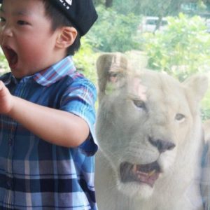 17 фото, по которым видно, как нелегко быть родителями