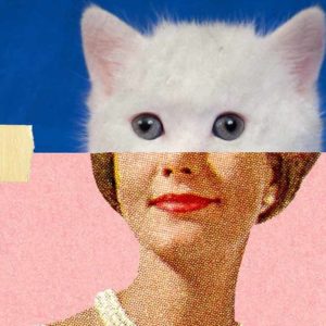 Тест: животное, которые вы увидели первым, расскажет, чего вам не хватает в жизни