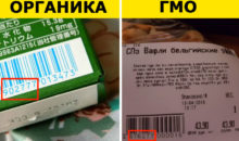 3 простых способа отличить ГМО от обычных продуктов