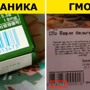 3 простых способа отличить ГМО от обычных продуктов