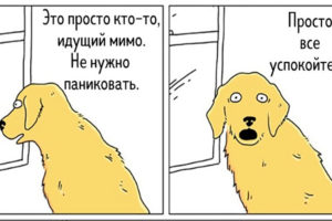 Что, если бы птицы умели говорить? 15 оригинальных комиксов для поднятия настроения