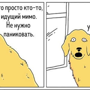 Что, если бы птицы умели говорить? 15 оригинальных комиксов для поднятия настроения