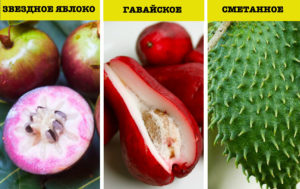 20 крышесносных фактов о привычной и экзотической еде