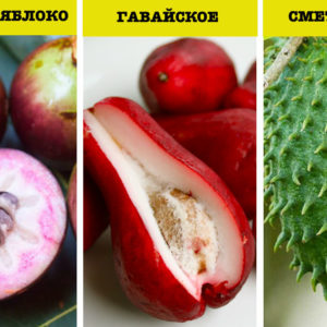20 крышесносных фактов о привычной и экзотической еде