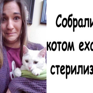 11 фото дурацких ситуаций, в которых никто бы не хотел оказаться
