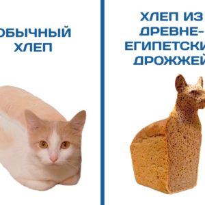 15 комиксов от сообщества “Образовач”: самые серьезные новости здесь подают с потрясающим юмором