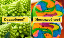Тест: съедобное или несъедобное? 14 фото с подвохом