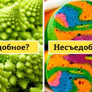 Тест: съедобное или несъедобное? 14 фото с подвохом