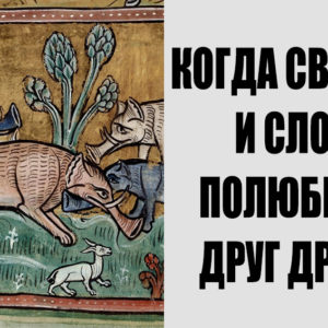 12 диких фактов о животных, в которые верили люди Средневековья