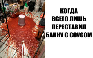 15 шедевральных фотографий, на которых все пошло не по плану, но так даже лучше!