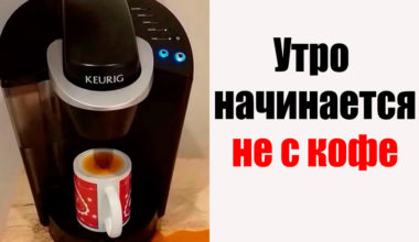 Еще пара мгновений, и эти 15 человек ударятся в истерику