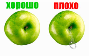 Как сохранить женское здоровье: обратите внимание на эти 10 вещей