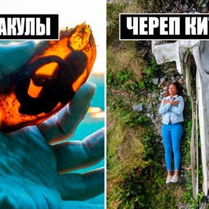 Так вот как все работает: 10 фото, на которых видно устройство привычных вещей