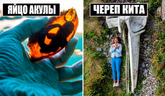Так вот как все работает: 10 фото, на которых видно устройство привычных вещей