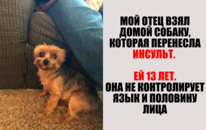 10 человек, чья доброта достойна отдельного "Оскара"