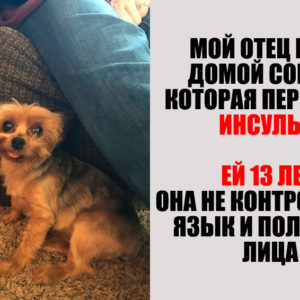 10 человек, чья доброта достойна отдельного «Оскара»