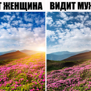 10 фактов об организме женщины, о которых зря не рассказали на уроках биологии