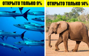 10 старых вопросов, которые по сей день ставят ученых в тупик