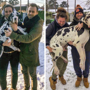 11 фотографий, которые показывают, что размер собаки никак не влияет на размер ее любви к хозяевам (и это взаимно)